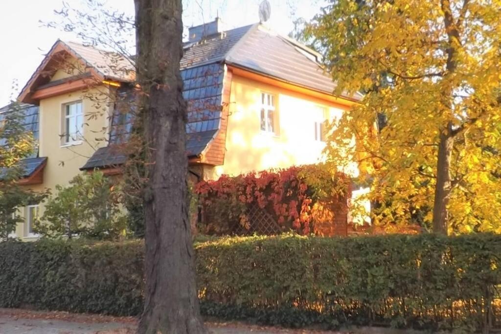 Appartement Town-villa, Apartment, Living With Big Sofa Bed , 2 Bedroom, 1kitchen, 1bathroom, 1 Office, 1 Garden Berlijn