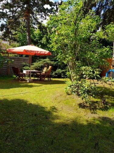 Town-villa, Apartment, Living With Big Sofa Bed , 2 Bedroom, 1kitchen, 1bathroom, 1 Office, 1 Garden *